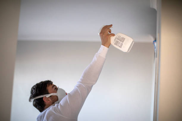 Best Black Mold Remediation in Shady Hills, FL