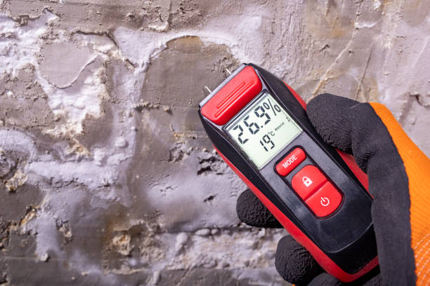 Best Industrial Mold Remediation in Shady Hills, FL