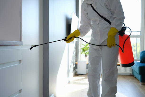 Best Mold Testing and Inspection Services in Shady Hills, FL