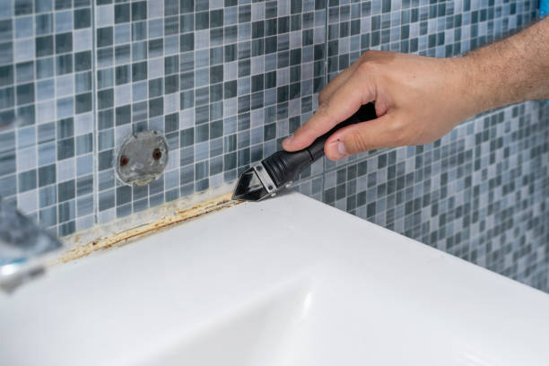 Best Bathroom Mold Remediation in Shady Hills, FL